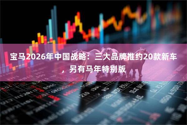 宝马2026年中国战略：三大品牌推约20款新车，另有马年特别版