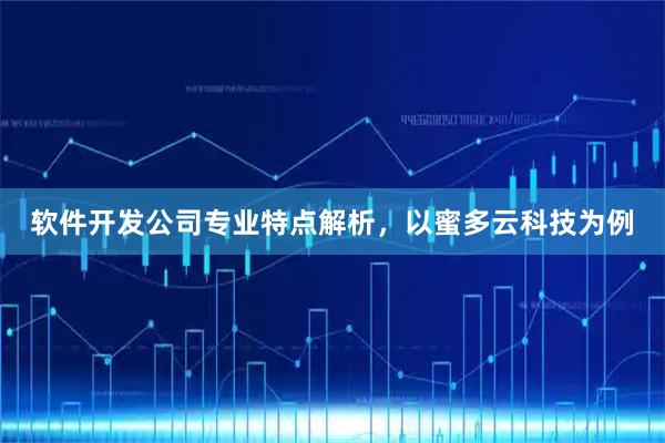 软件开发公司专业特点解析，以蜜多云科技为例