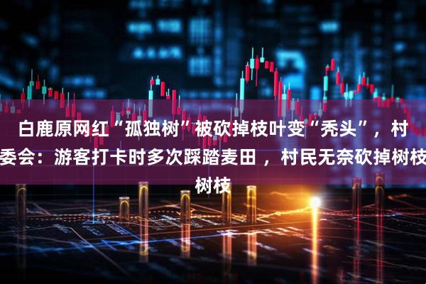 白鹿原网红“孤独树”被砍掉枝叶变“秃头”，村委会：游客打卡时多次踩踏麦田 ，村民无奈砍掉树枝