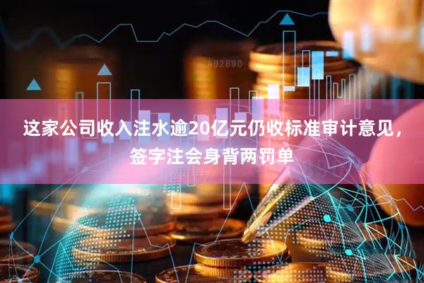 这家公司收入注水逾20亿元仍收标准审计意见，签字注会身背两罚单