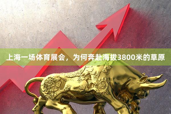 上海一场体育展会，为何奔赴海拔3800米的草原